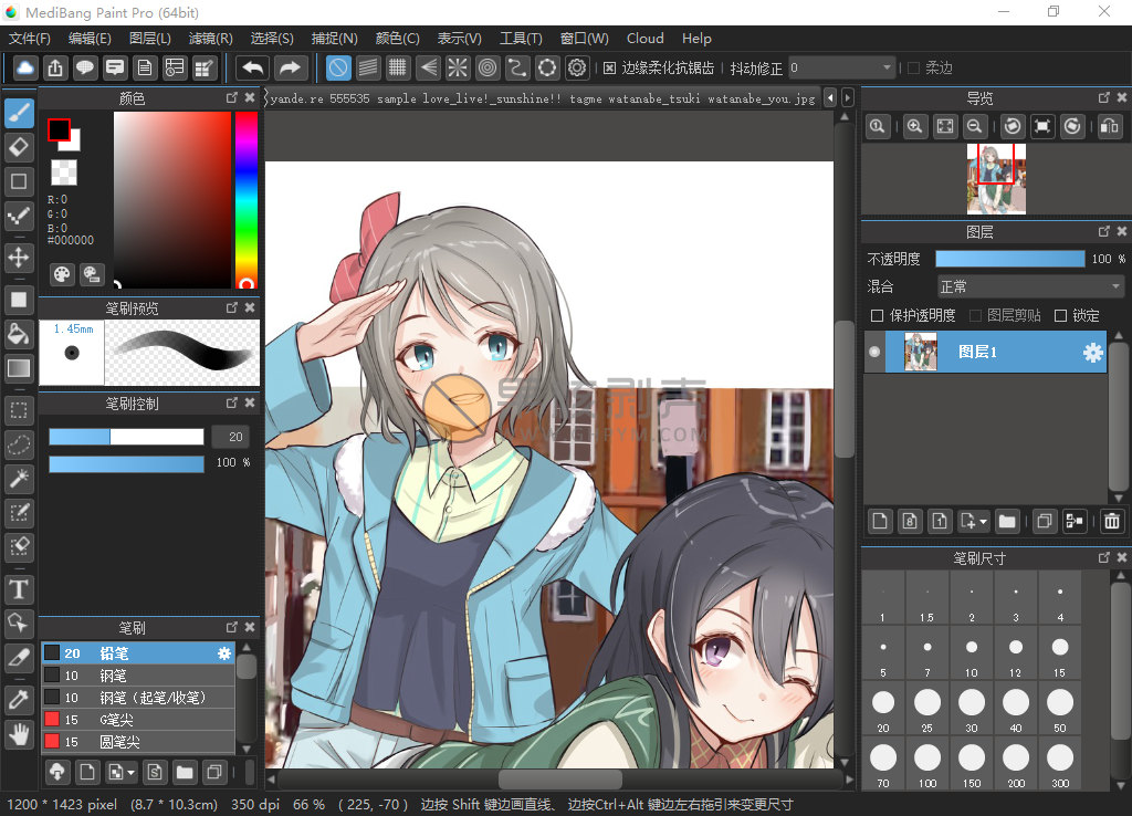 Medibang Paint Pro(插画漫画绘制软件)v29.1 多语言版